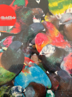 Blawan – SickElixir (2025) – Album&nbsp;Review